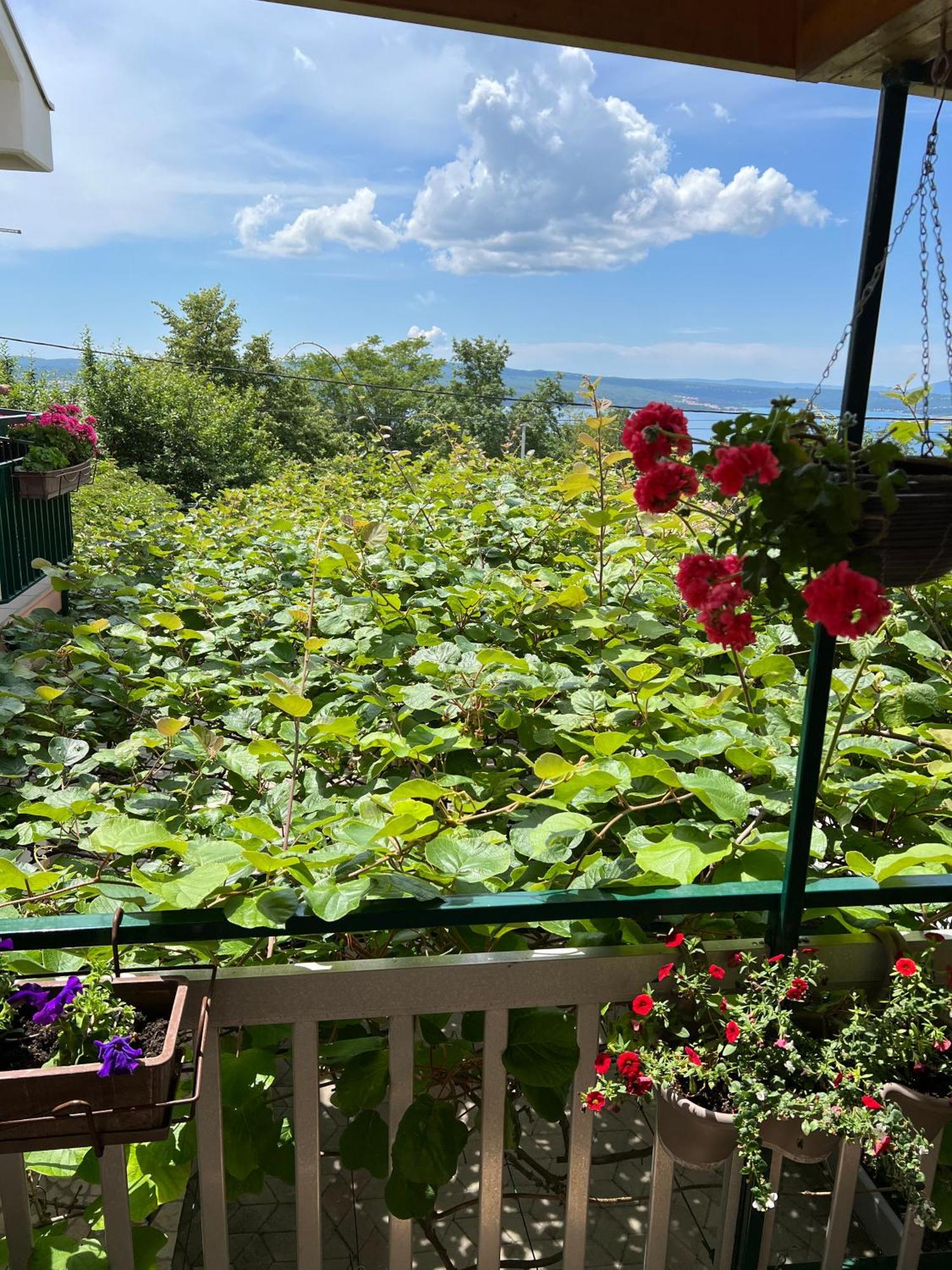 Apartman Ahmicic Crikvenica Exterior foto